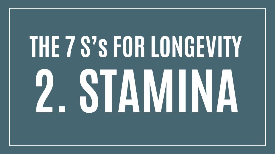 2. STAMINA